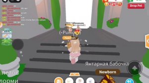 🦋ОБНОВЛЕНИЕ🆙||🎀ADOPT ME👧🏼||ROBLOX◼️◻️▪️