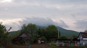 Мой посадочный сезон!