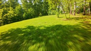 Лето пришло. Стриженный газон лицея Горностай