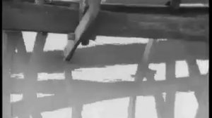 Киножурнал ПИОНЕРИЯ 1979 г  № 6