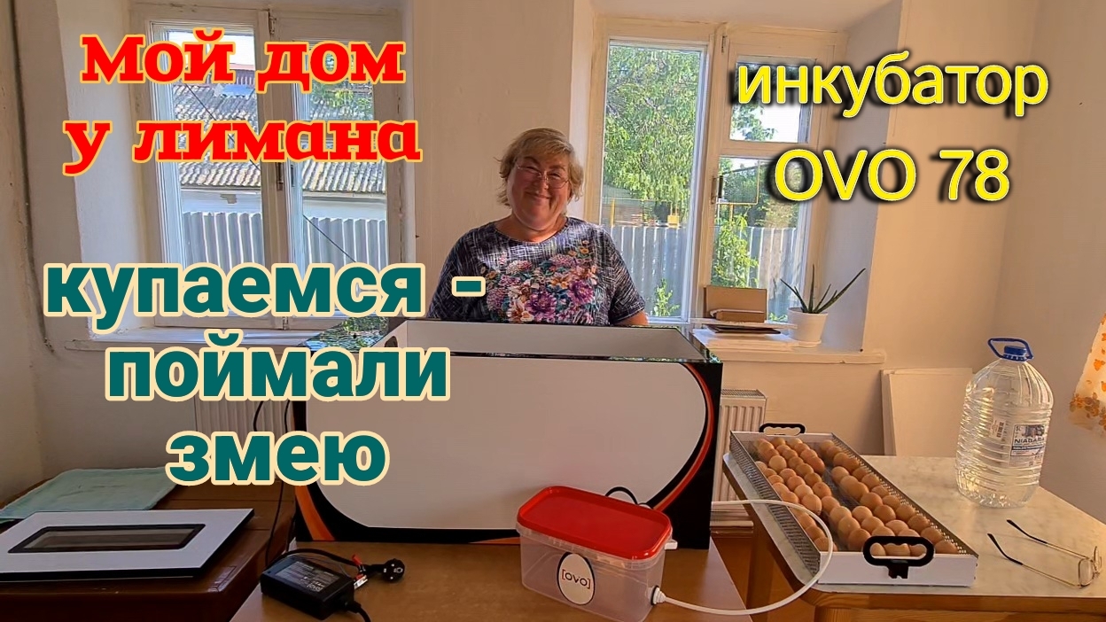 Усадьба у моря. Таня открывает купальный сезон. Поймали змею. Сетка. Инкубатор OVO 78.