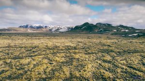 Эта мелодия заставит вас плакать от красоты - Mont Blanc -- Podington Bear -- Homage Fromage (Box Se