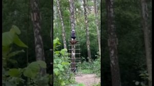 Покатались вчера с девочками по лесу. А вы как восстанавливаете свое душевное равновесие?