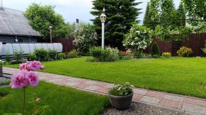 Сад на закате 07.06.25