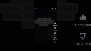 разбор terraria gumma...