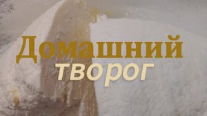 Домашний творог