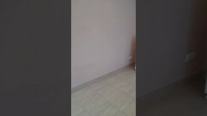 АРЕНДА ДОМА СЕВАСТОПОЛЬ.
200 кв., 2 этажа, 4 спальни + кухня столовая + гостевой зал. 
+79782000584