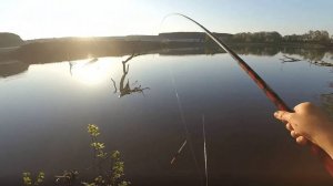 РУССКАЯ РЫБАЛКА 4