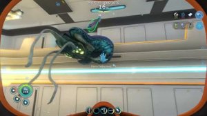 газобрюх следит за нами в SUBNAUTICA!