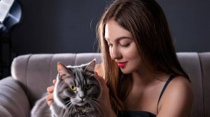 Серый пушистый мой котик