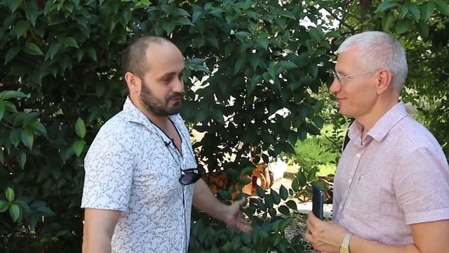 Отзыв покупателя, купившего квартиру в Сочи скоростным методом продаж.