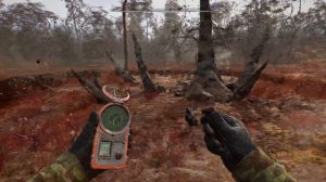 Странное Место Рыжий лес  S.T.A.L.K.E.R. 2: Heart of Chornobyl