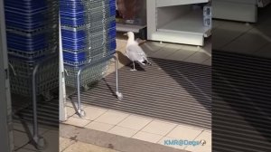 Запишите на мой счет🧾🤣