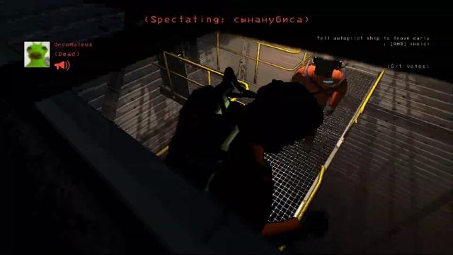 Летал компани пати из 4 ишаков смотреть онлайн