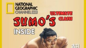 Взгляд изнутри: Сумо. Главный поединок | NAT Geo