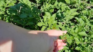 Суббота ! Обзор нашей покупки и работы!