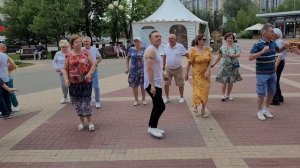 Ромашки белые... 06.06.25...