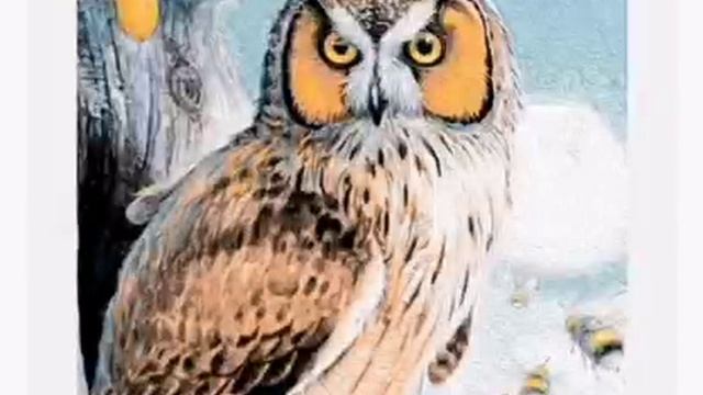 Аудиосказка. Сова смотреть онлайн