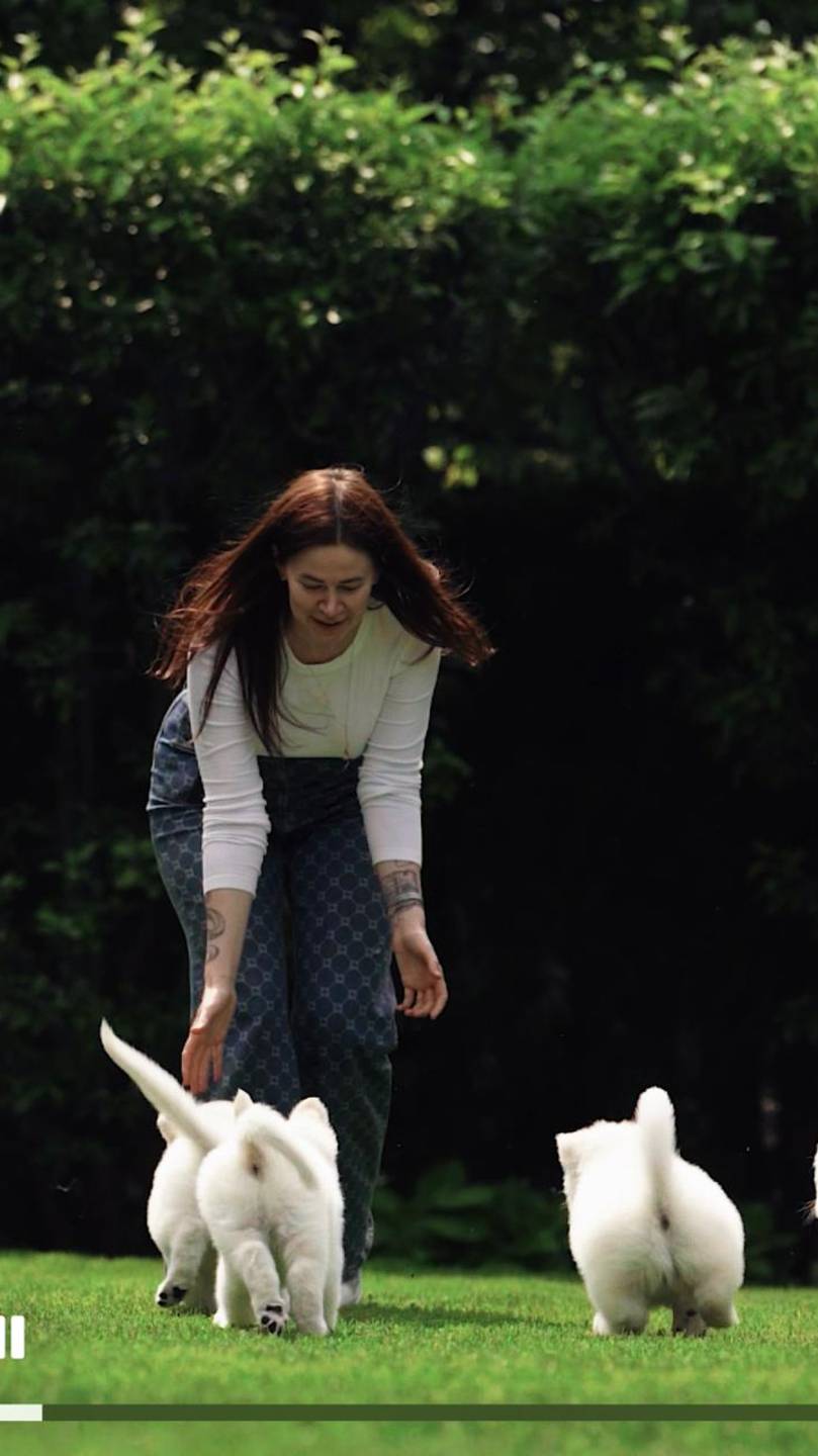 Veni Vidi Vici IZBB и брат их Viggo IZBB