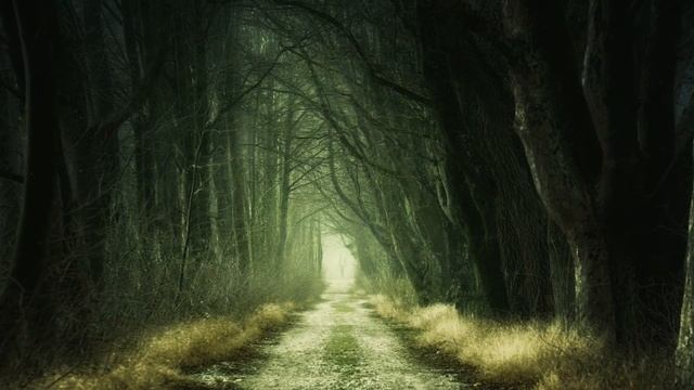 Красивая природа. Гармоничная музыка. Спокойствие и расслабление.