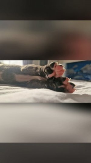 1000178957.mp4