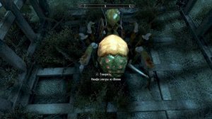 Skyrim. Нимфа элитры из Мании