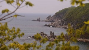 Приморье - край удивительной природы