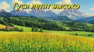 Гуси высоко летят