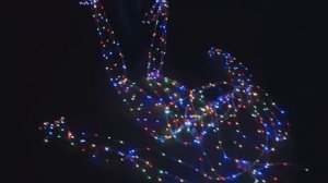 LED GIANT, show of light puppets