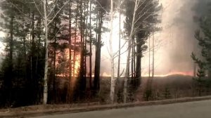 Сильные пожары в Читинской области