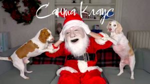Собачки и Санта Клаус весёлый пранк
