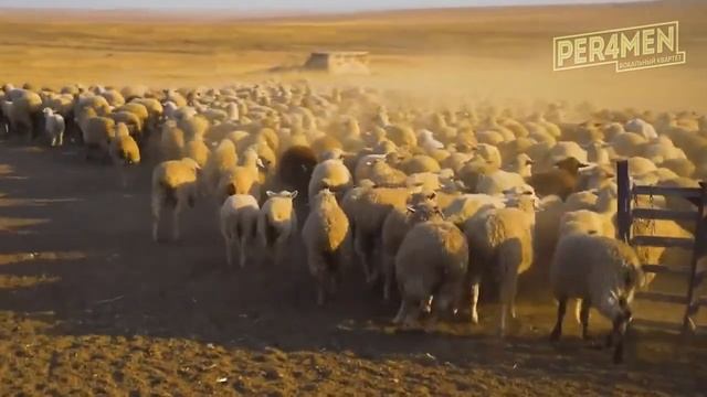 Гимн Сельского хозяйства смотреть онлайн