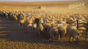 Гимн Сельского хозяйства