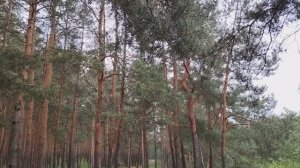 Изменения в законодательстве с 1 июня 2025 года