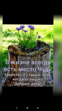 доброе утро