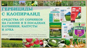 Лорнет, Хакер, БИС-300, Брис, Гербимакс - гербициды от сорняков на газоне и
клубнике с клопиралид