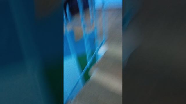 24 часа один дома четыре