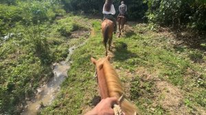 Долина виньялес