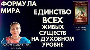 Формула мира. Единство всех живых существ на духовном уровне. Лалита Мадхури дд. ШБ 7.5.12