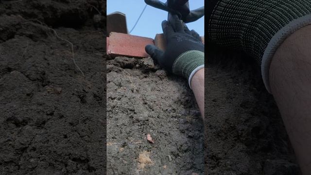 новое шамбо с помошником подъёма земли на верх