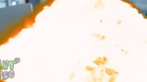 Все растения за 9 минут!!!|*ПЕРЕЗАЛИВ*(Паша космос)