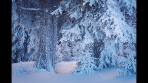 Мрак и тунель (Suno Ai)