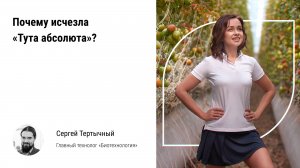🏃 Почему исчезла Тута абсолюта в теплицах РФ? Опыт и инструменты контроля вредителя в России