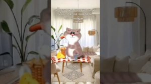 1000158286.mp4