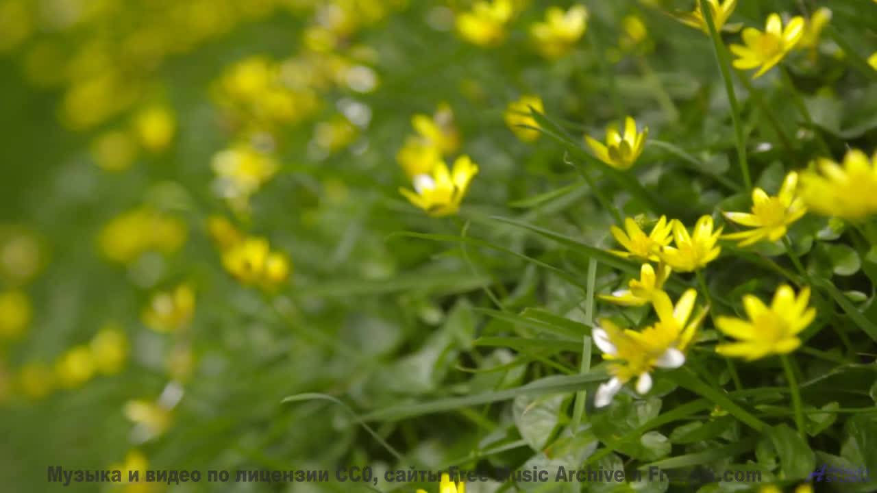 Видео, которое зарядит вас энергией на неделю вперед! - Discoboy -- Upseen -- El Monstruo