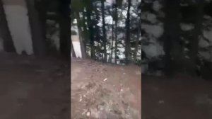 🤣 Бывает и такое