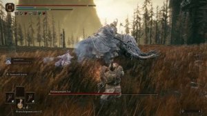 Крутой билд на силу в elden ring