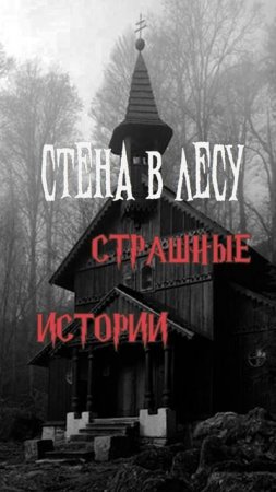 Стена в лесу | Страшные истории на ночь | Страшилки на ночь #shorts #shortsvideo