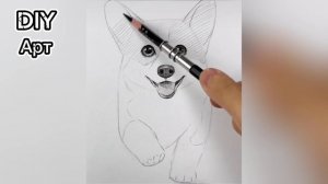 Корги простой рисунок карандошам. DIY
Арт