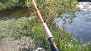 рыбалка на донку.